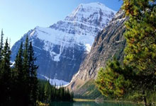 开云体育平台APP-多特蒙德力克法国，马夏尔关键制胜：欧洲足球精彩瞬间全揭秘