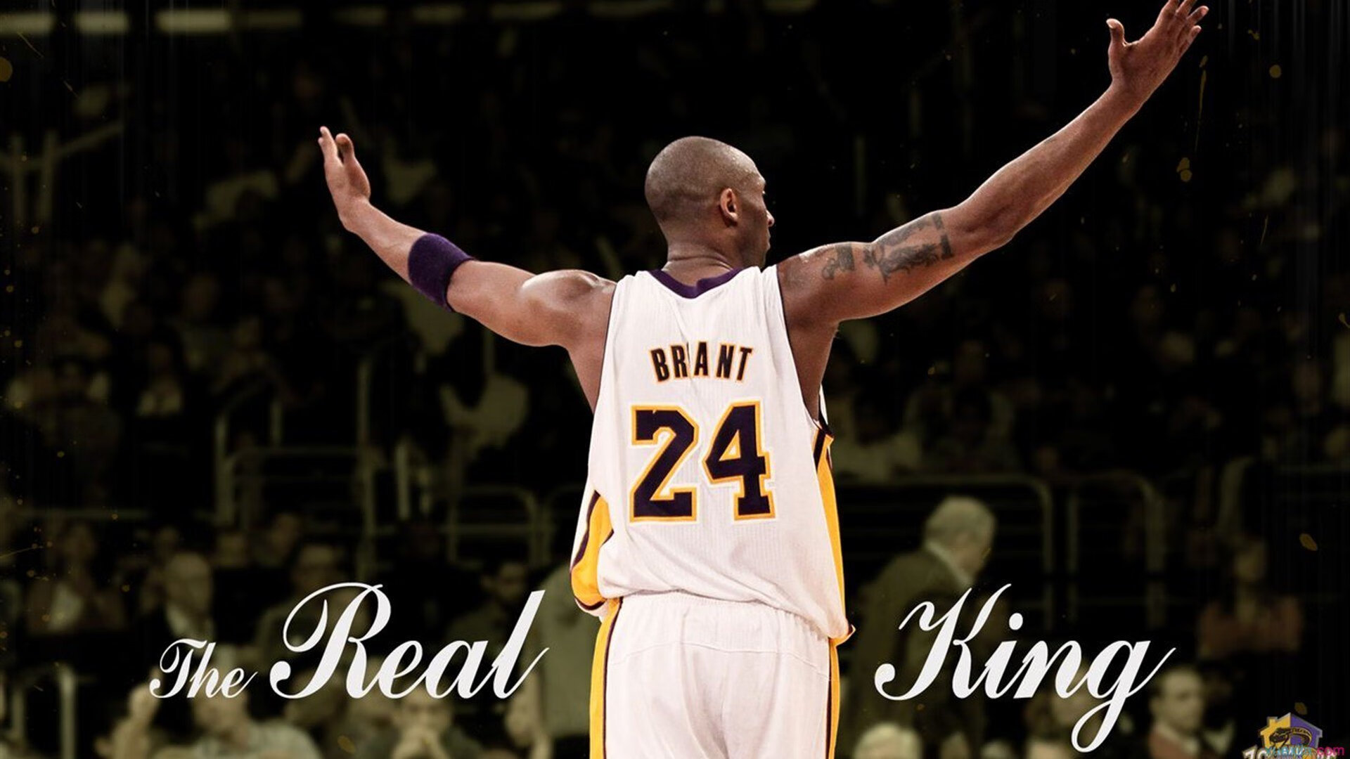 苏亚雷斯，维也纳之夜，一个乌拉圭人如何为罗马与奥地利之战注入灵魂